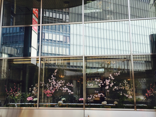 #111 3月中旬に、東京駅八重洲口そばのビルのショーウィンドウに、『桜』を咲かせてきました♪